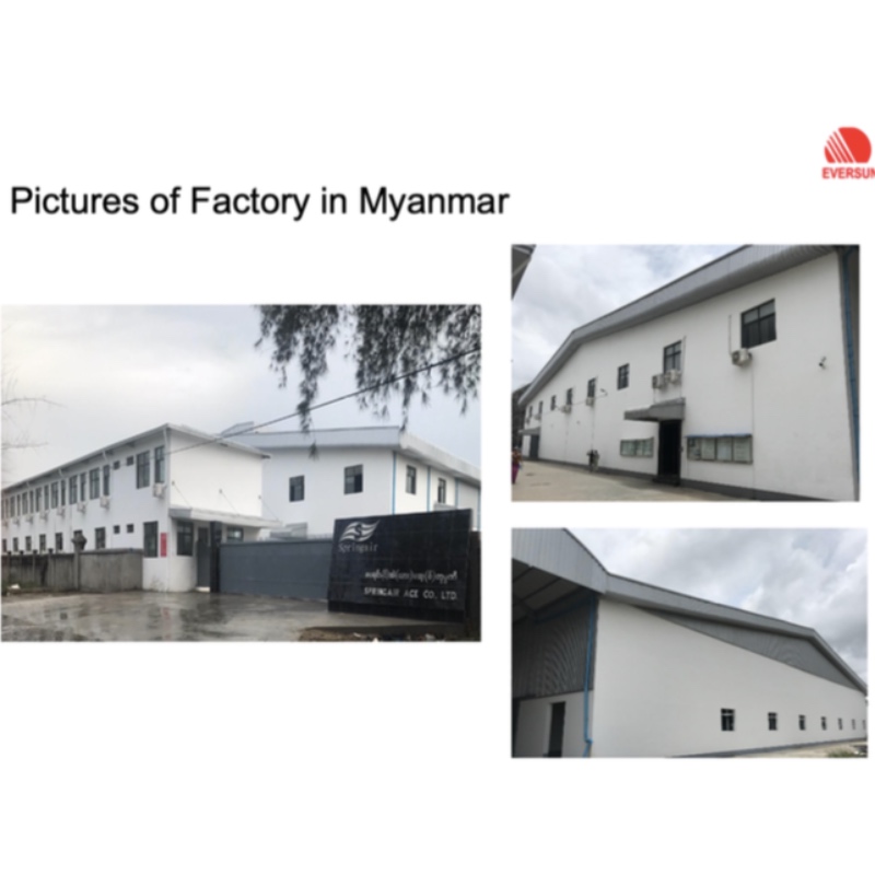 Fábrica de propriedade total de Mianmar